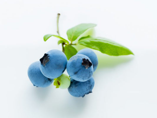 サンプル 知恵の輪